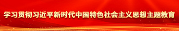 在线观看玩美女骚屄学习贯彻习近平新时代中国特色社会主义思想主题教育